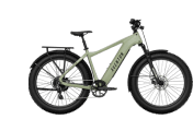 Electric Bikes